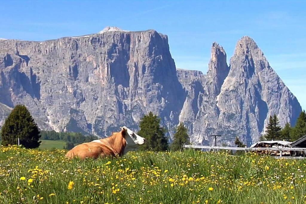 Apartamento Fantastico Monolocale In Siusi Sciliar Exterior foto